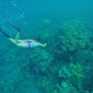 Package 2 Snorkeling Tour (Selang Beach, Lipah Beach, and Pyramid at Jemeluk)